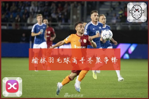 榆林羽毛球高手齐聚争锋