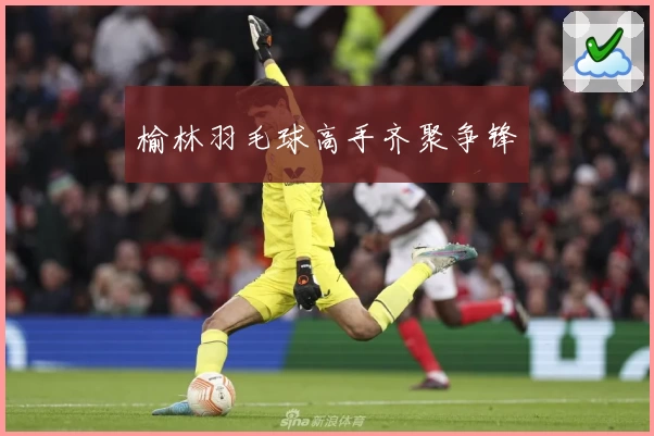 榆林羽毛球高手齐聚争锋