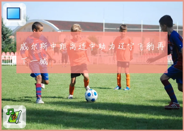 威尔斯中距离连中助力辽宁飞豹再下一城