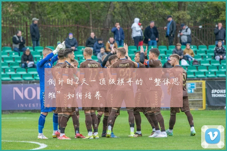 倒计时2天 - 顶级棋手的“整体思维”如何培养