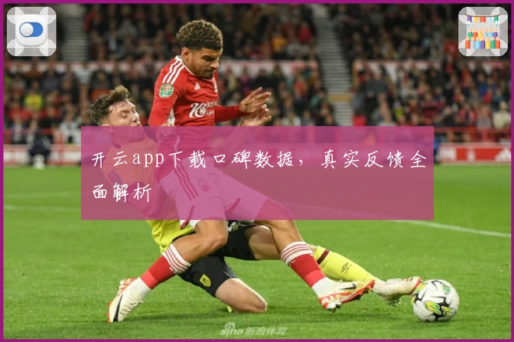 开云app下载口碑数据，真实反馈全面解析