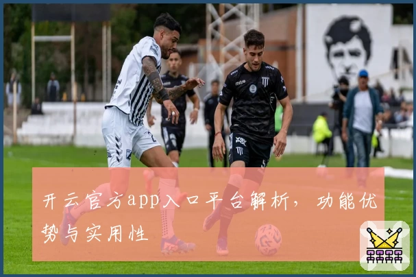 开云官方app入口平台解析，功能优势与实用性