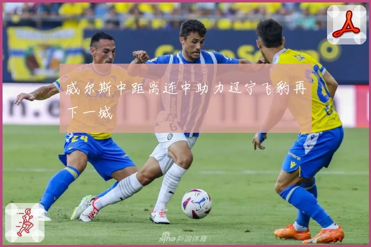 威尔斯中距离连中助力辽宁飞豹再下一城