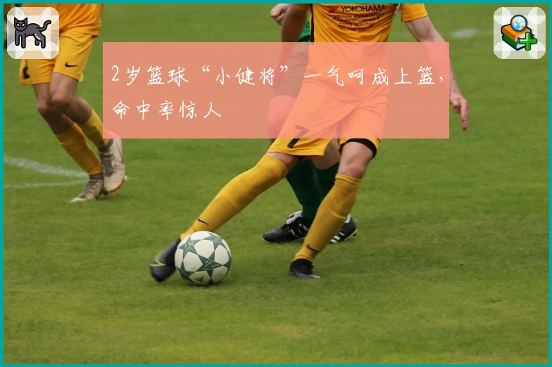 2岁篮球“小健将”一气呵成上篮,命中率惊人